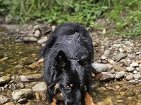 Okami  Bes.: Sändy Rechsteiner